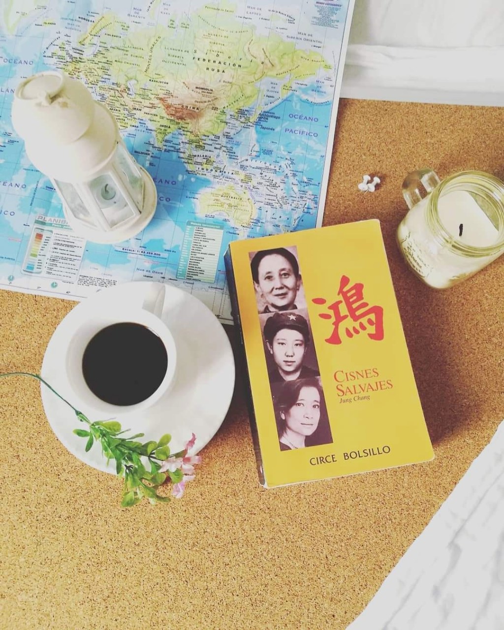 3 hijas de China, Cisnes&nbsp;Salvajes