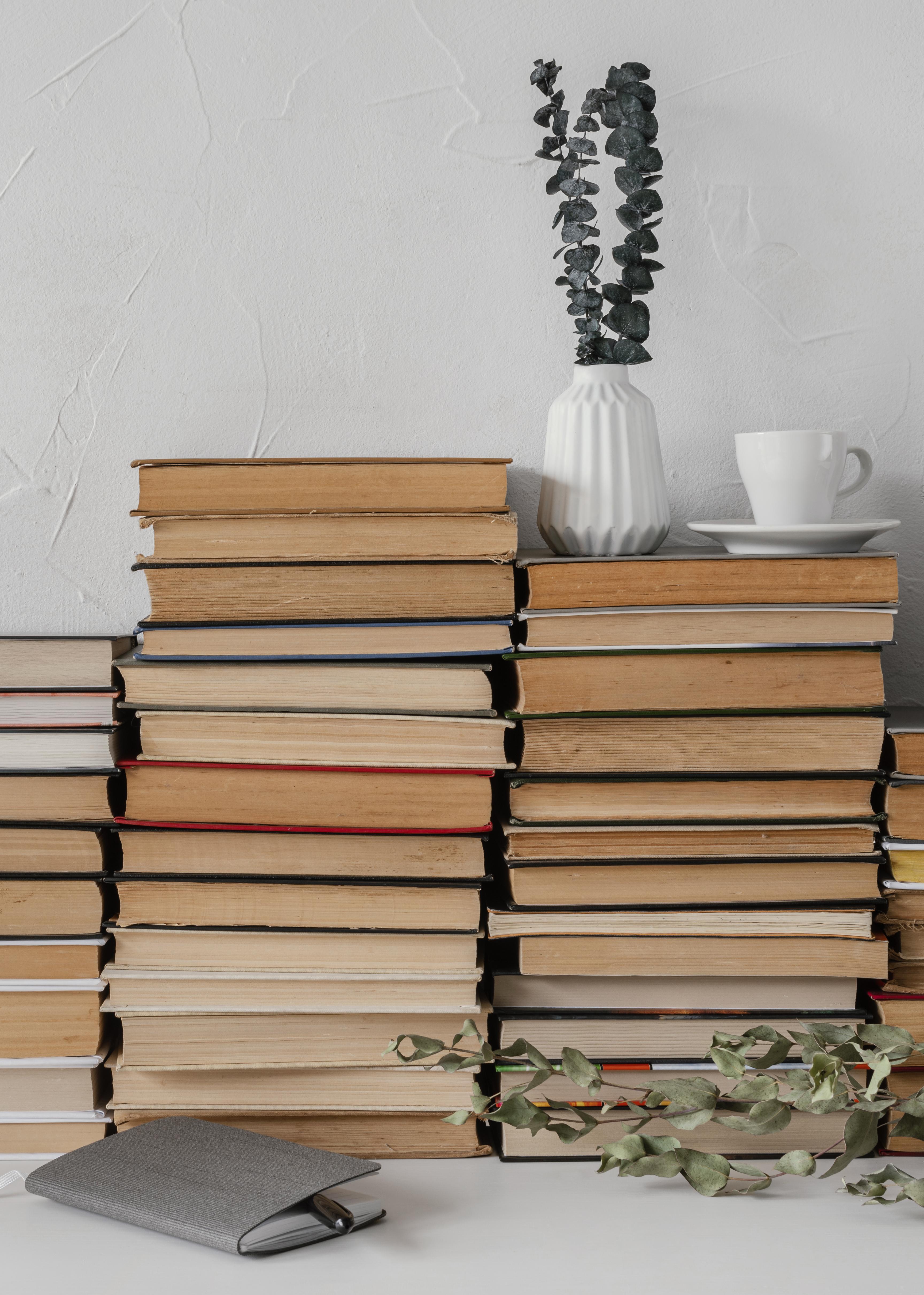 ¿Por qué no debemos olvidar a los clásicos de la literatura?