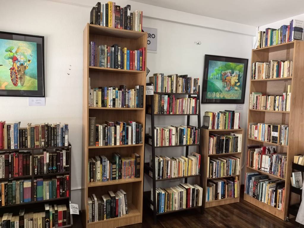 El librero pandeado: la calidez en un espacio para&nbsp;lectores